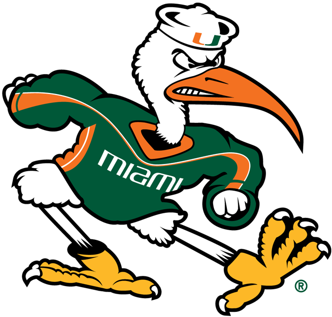 Miami Hurricanes 2000-Pres Alternate Logo v2 DIY iron on transfer (heat transfer)